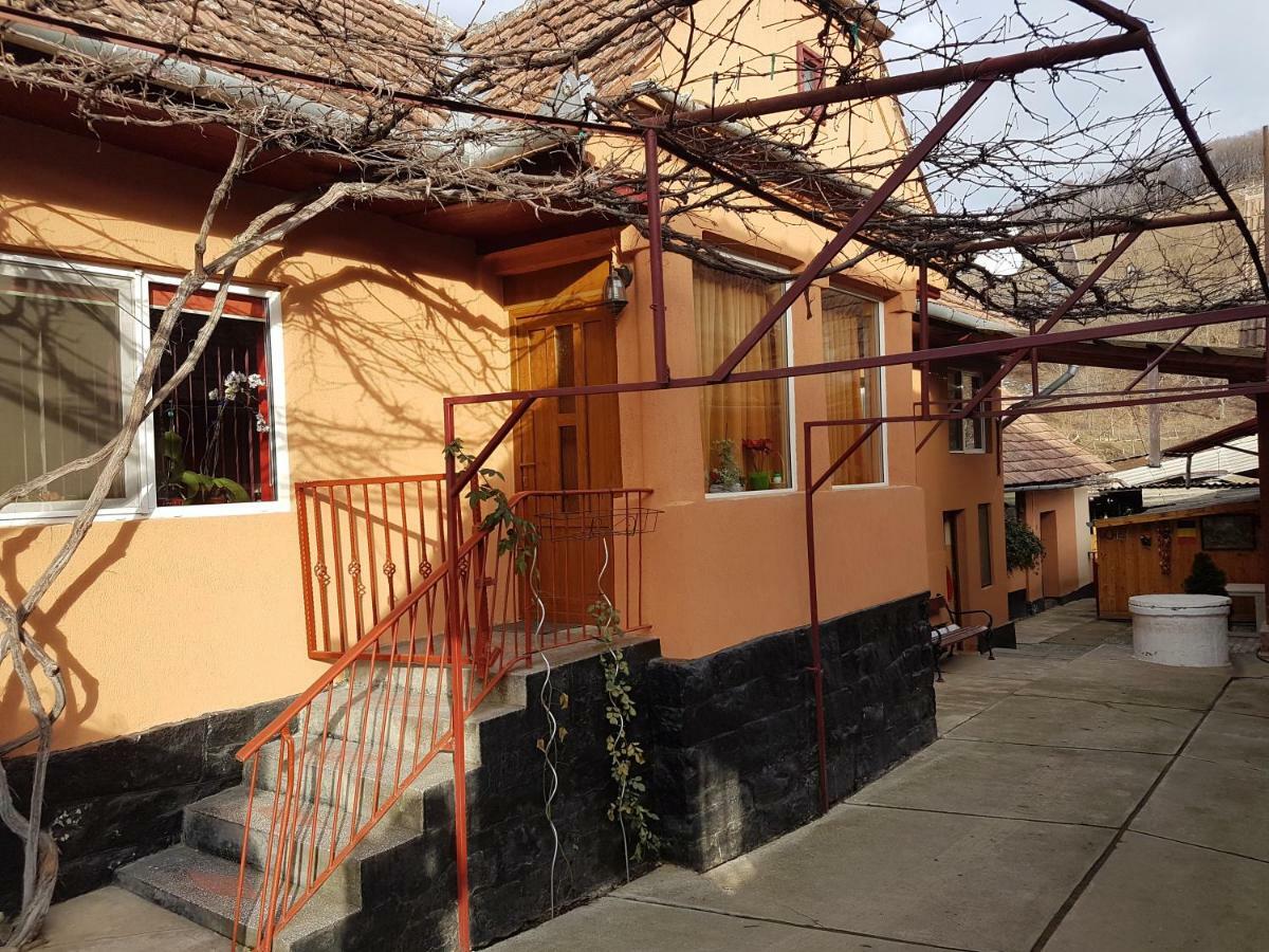 Casa De Oaspeti Morii 22 Malancrav Luaran gambar